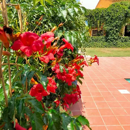 Mas De Bernis - Masia Vakantiehuis *